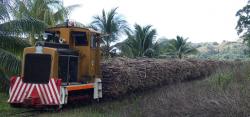 Train loaded with sugarcane